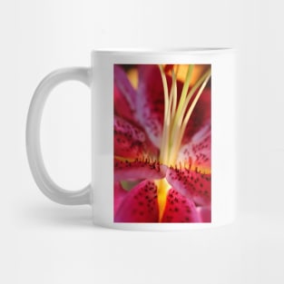 Pink Lily Lilium Herbaceous Flowering Plants Mug